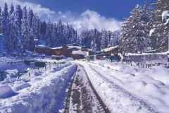 Exploring-Srinagar-Gulmarg-and-Pahalgams-Natural-Beauty